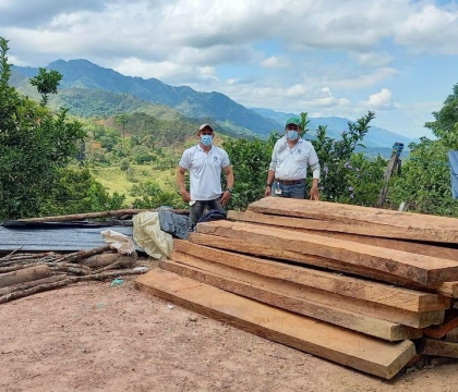 Incautación de madera en la vereda Guayaquil del municipio de Ortega sur del Tolima