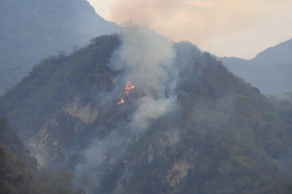 Conozca los daños a la salud y medio ambiente que deja los incendios forestales