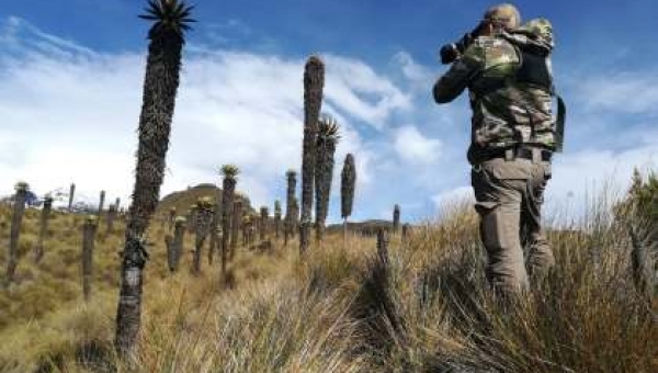 En toda una sensación se ha convertido el paso del fotógrafo Adam Rainoff por el Tolima