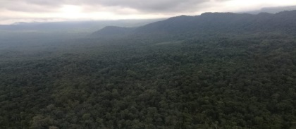 La declaratoria del Bosque Galilea sería motivo para celebrar el día Mundial del Medio Ambiente
