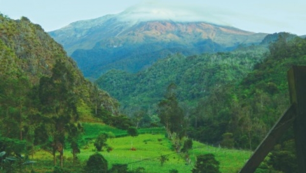 Si va a visitar en esta Semana Santa la Reserva Forestal Protectora Regional “Alto Combeima” conozca las medidas preventivas