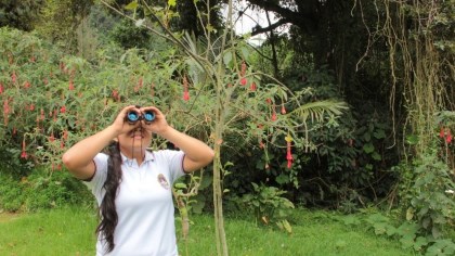 Conozca las actividades realizadas en el 4º Festival de Aves del Tolima