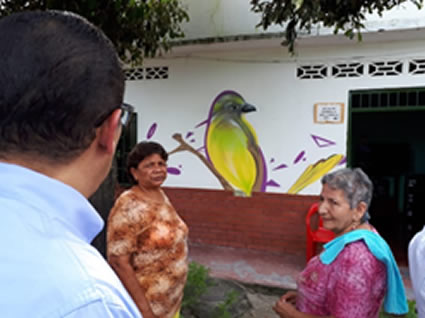 Conozca un barrio donde las aves se toman un municipio del Tolima