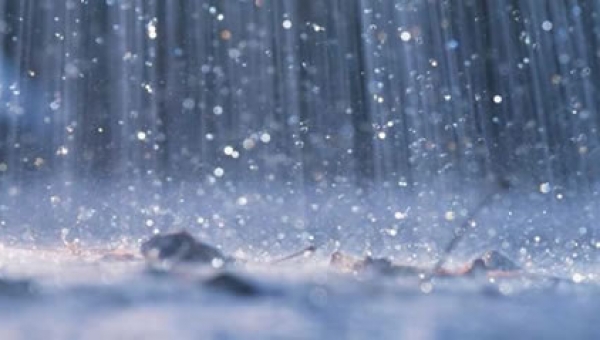 Reporte de Lluvia enero 15 de 2018 (08:00 AM a 02:00PM)