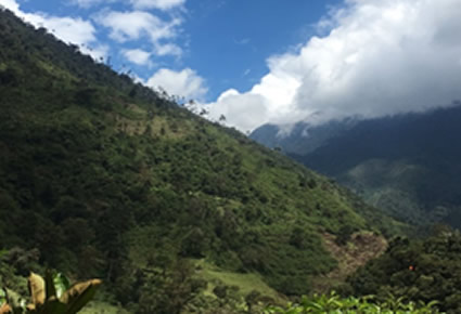 Preocupación de Cortolima por invasión de predio en el Parque Nacional Natural Las Hermosas