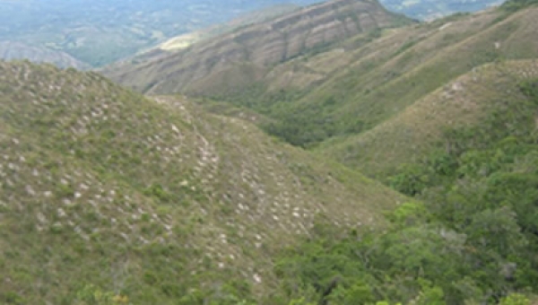 Gran Restauración Forestal en Dolores 45has recuperadas