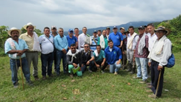El bosque de Galilea no debe ser intervenido por ningún motivo