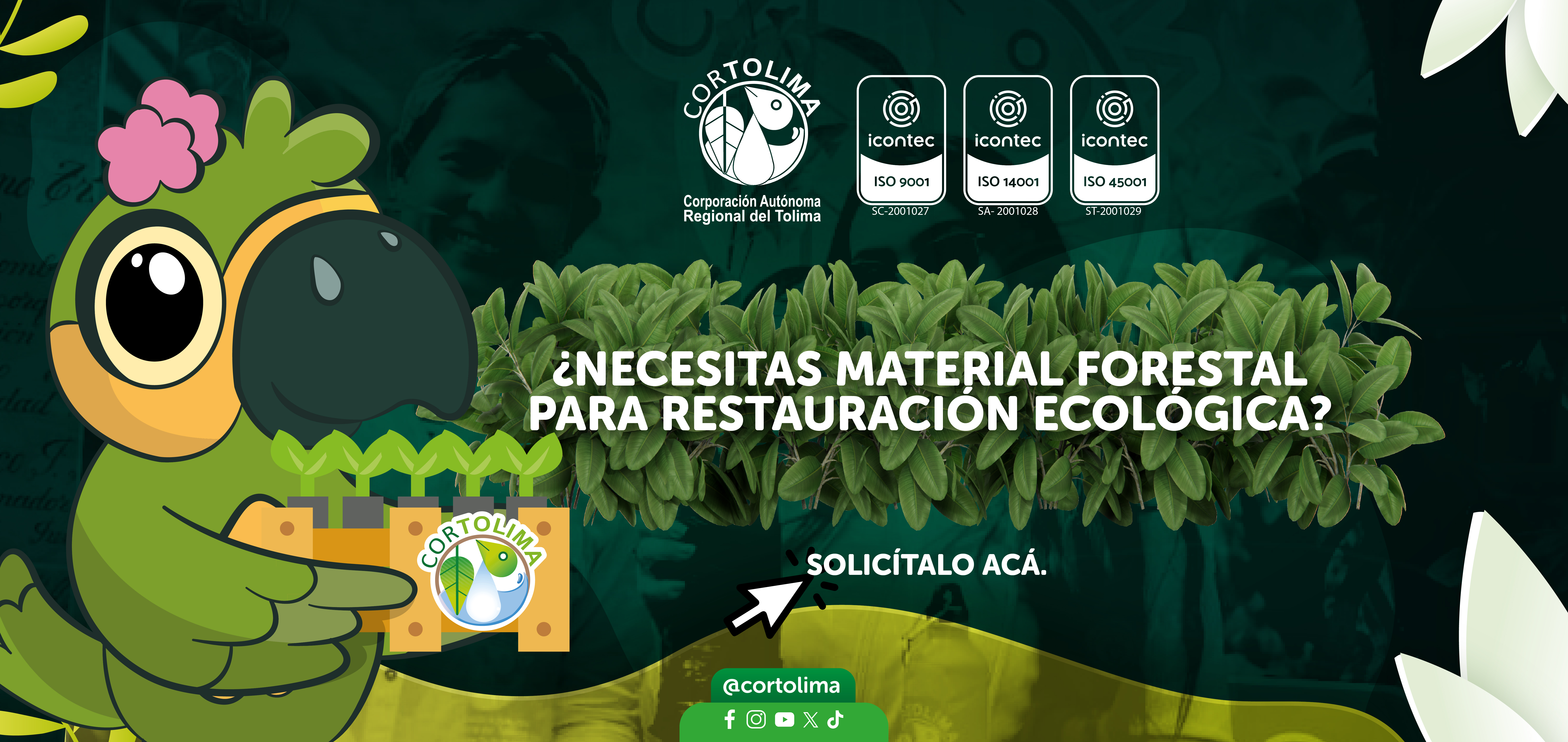 BANNER_RECOLECCION_Mesa_de_trabajo_1