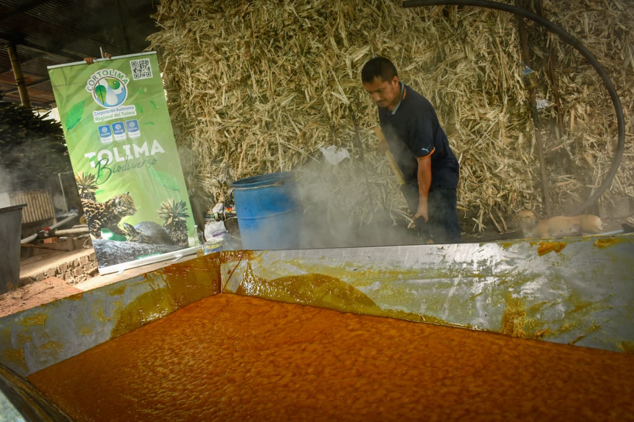 Paneleros de Mariquita reducen tala y consumo de leña con hornillas entregadas por Cortolima
