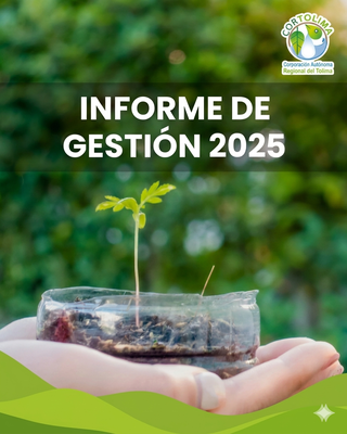 informe gestiom 2025