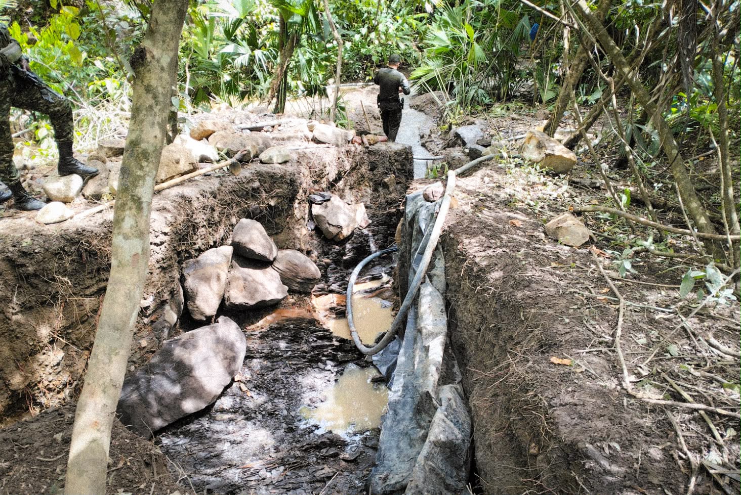 Cortolima, Policía Nacional y Ejército Nacional frenan minería ilegal de oro en zona protectora del río Saldaña, en Coyaima