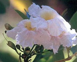 id2810b