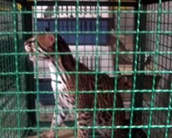 id2836a