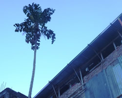 id2873e