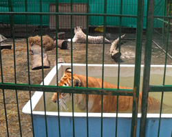 id2938a