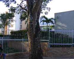d2440b