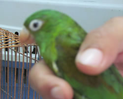 id2579a