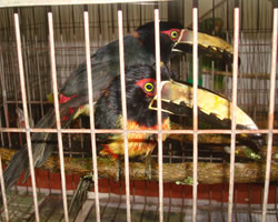 id2584a
