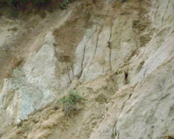 id2600a