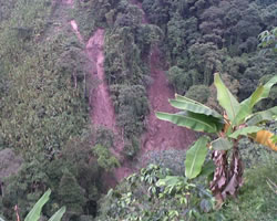 id2609a