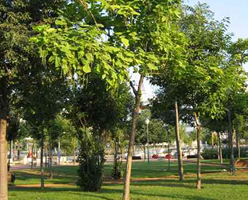 id2726c