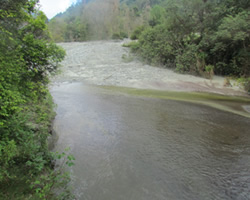 id2132a