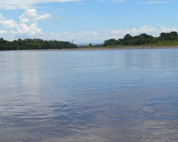 id2136a