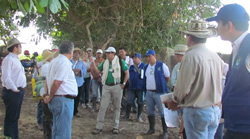id2154a