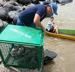 id2238a