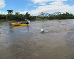 id2241a