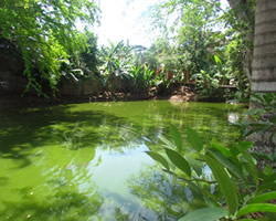 id2325a
