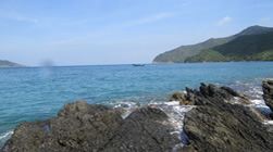 id1903a