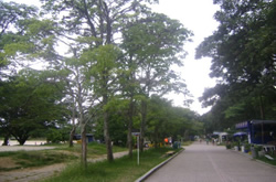 id1787a
