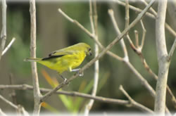 id1827e