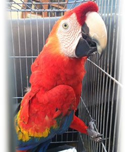 id1843a