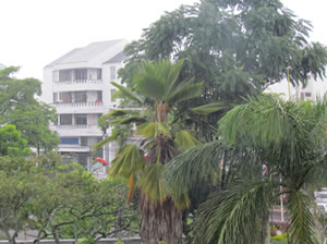 id1183a