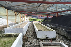 id1232a