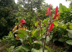 id1371a