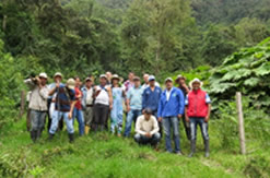 id1505b