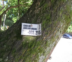 id1520b