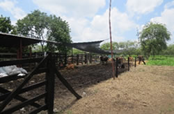 id1546e