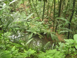 id1675a
