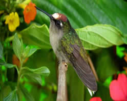 id1693b