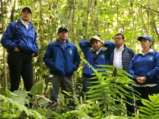 id247a