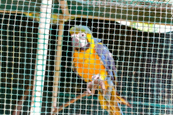 id25a