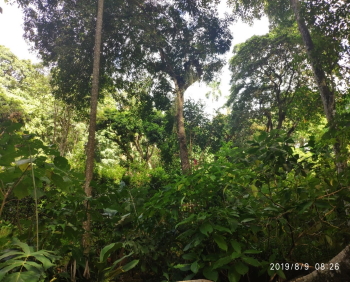 id313a