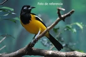 id767c