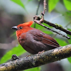 id952b